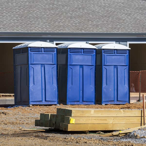 are there different sizes of porta potties available for rent in Wildersville